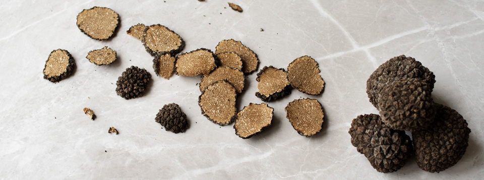 Cane che cerca tartufo